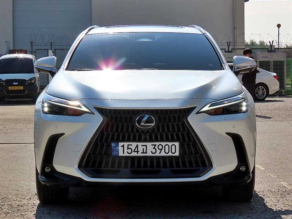 렉서스 NX 프리미엄 사진