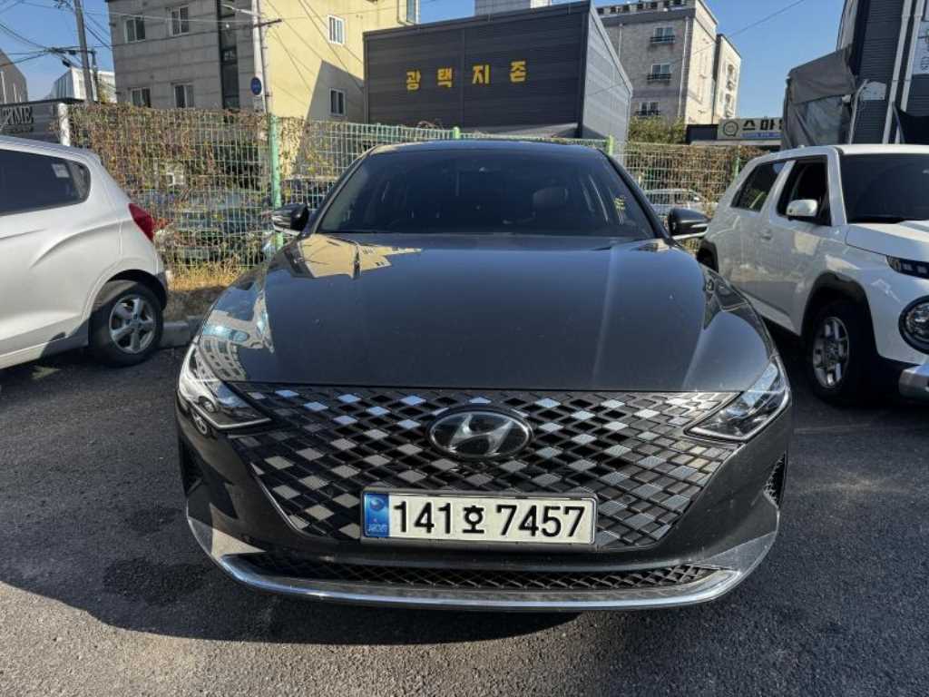 현대 그랜저 르블랑 사진