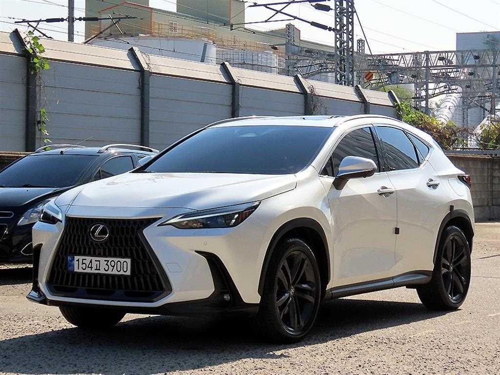 렉서스 NX 프리미엄 사진 2/20