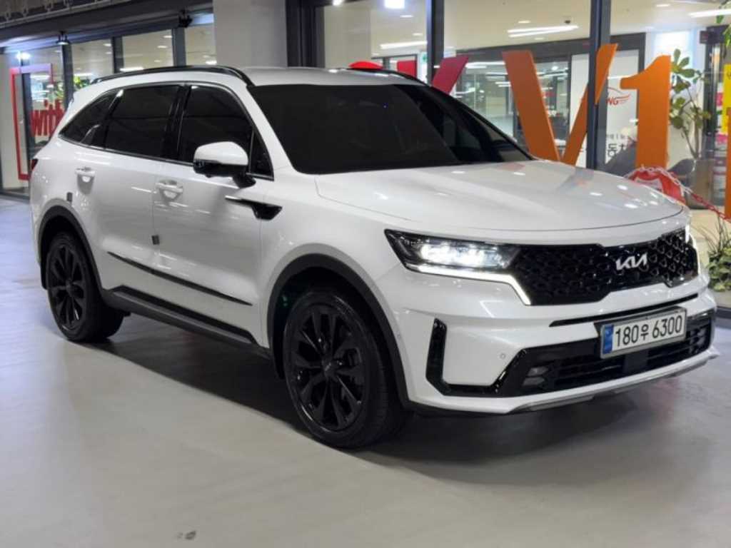 기아 쏘렌토 디젤 2.2 4WD 그래비티 사진 2/20