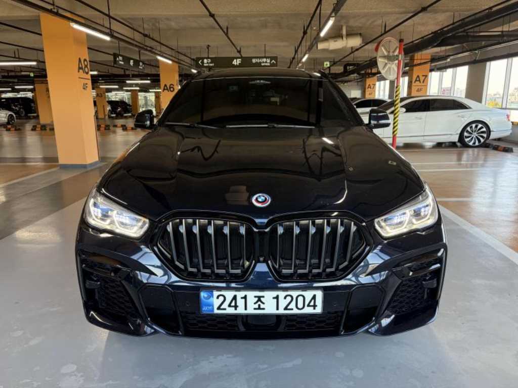 BMW X6 M50i 사진