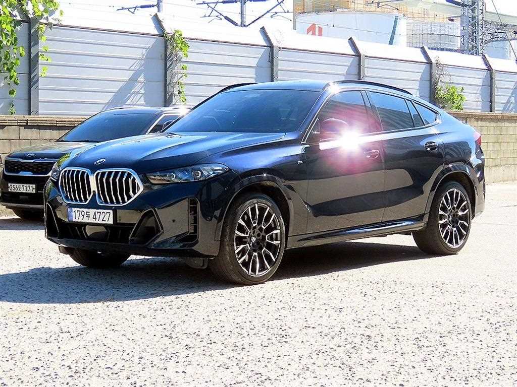 BMW X6 xDrive 40i M 스포츠 사진 2/20
