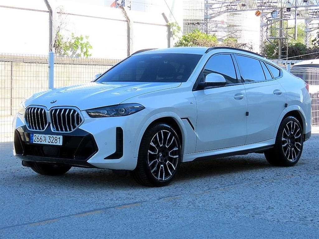 BMW X6 xDrive 40i M 스포츠 사진 2/20