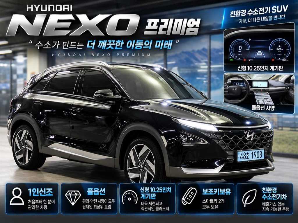 현대 넥쏘 프리미엄 사진