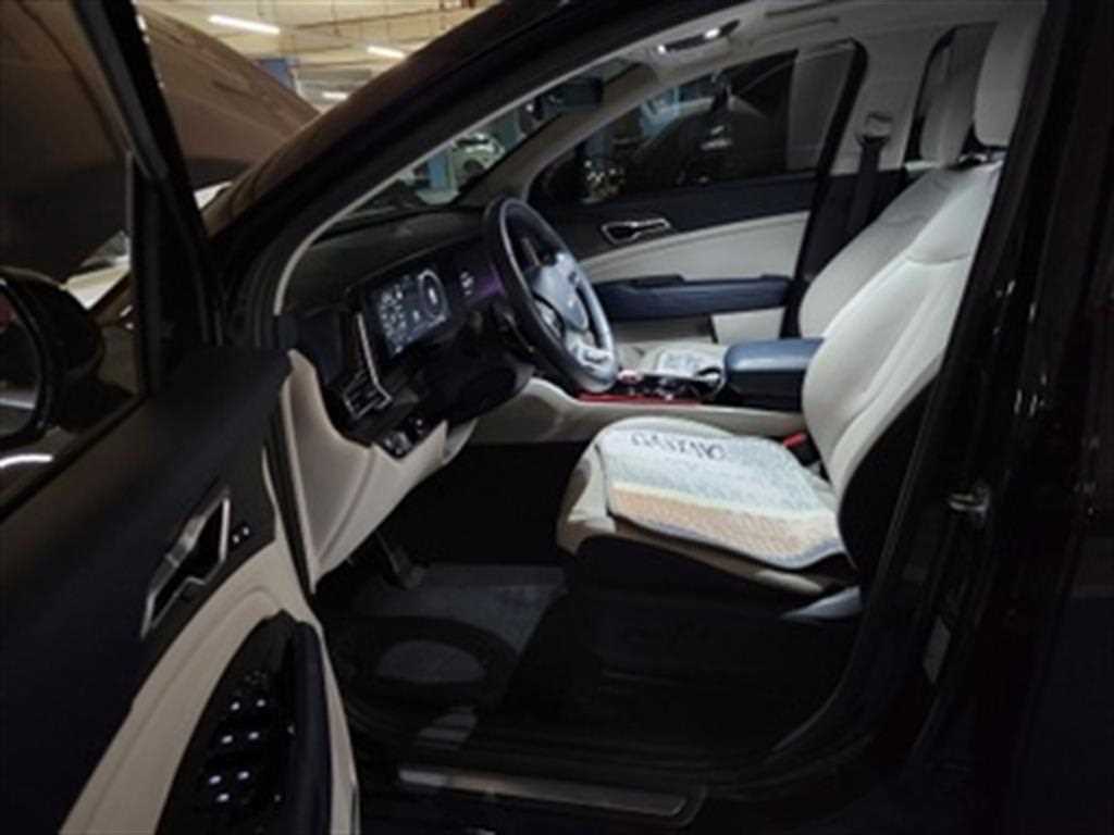 기아 스포티지 1.6 가솔린 4WD 시그니처 그래비티 사진