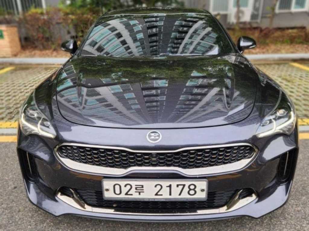 기아 스팅어 가솔린 2.0 터보 2WD 플래티넘 사진