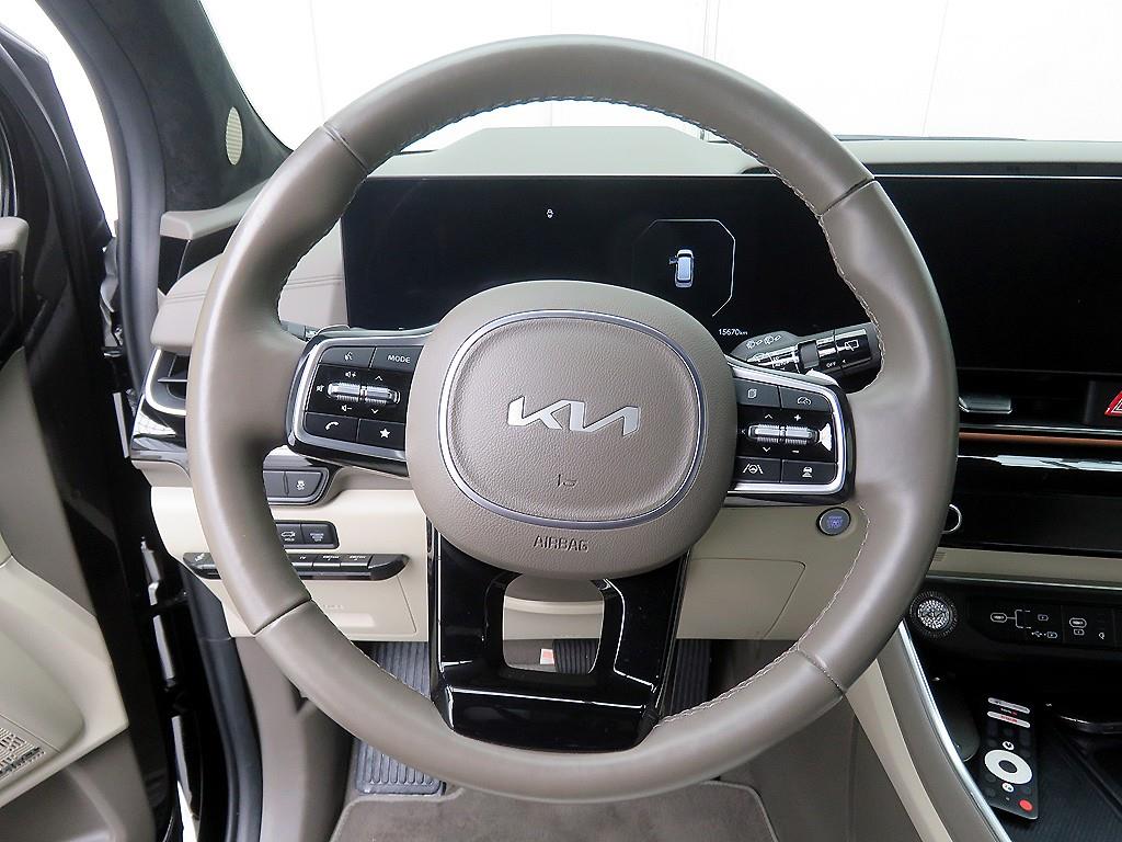 Kia Carnival HEV High Limousine 10