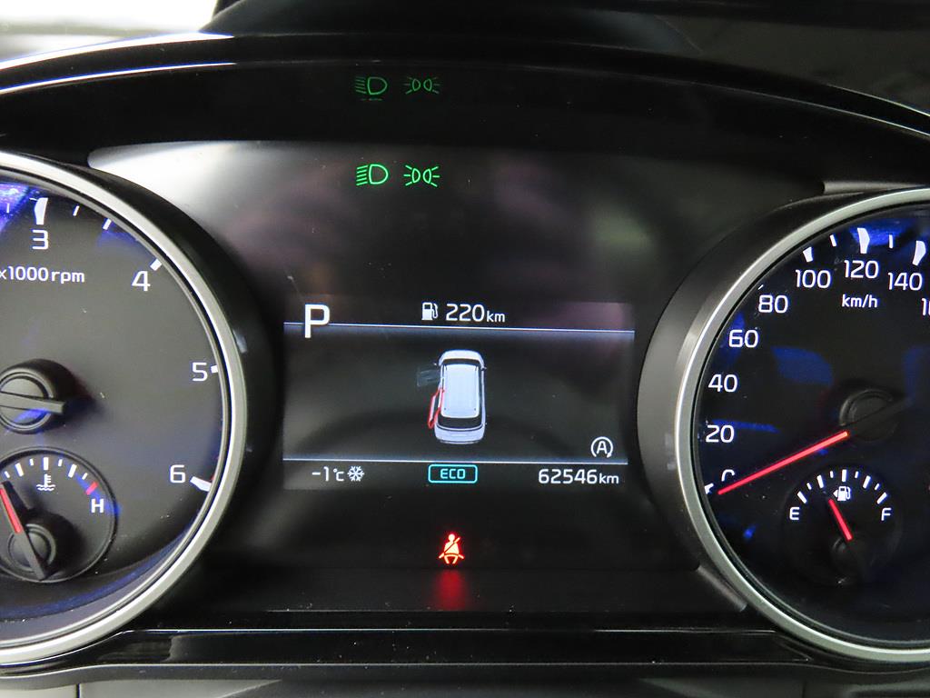 Kia Carnival Diesel Noblesse 10