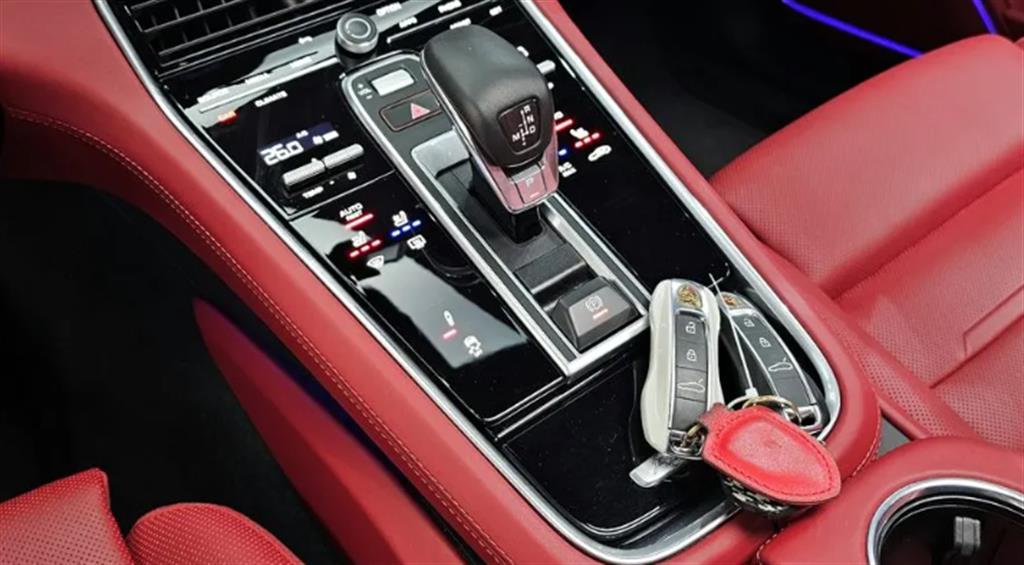 Porsche Panamera 2.9 4 Platinum Edition 9