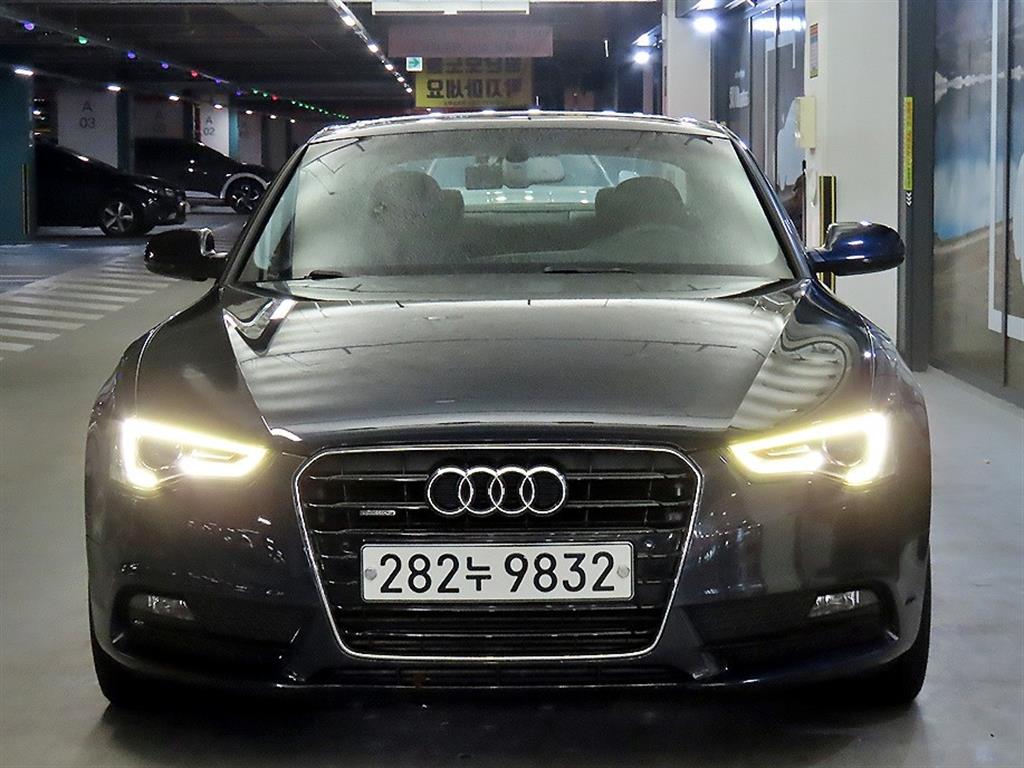 국산차 리스트 차량 이미지