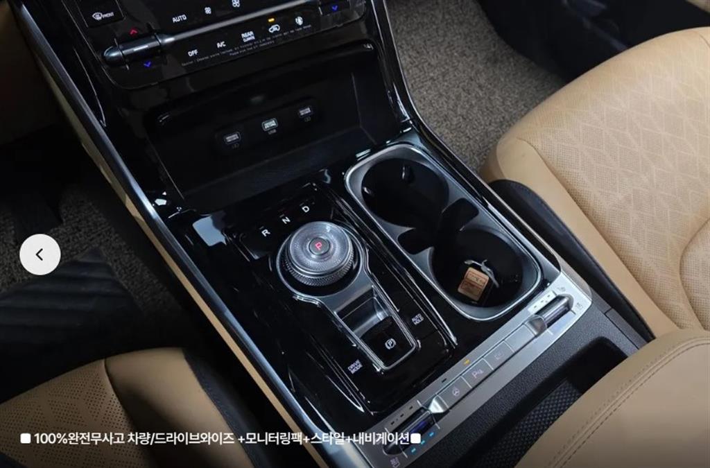 Kia Carnival Gasoline Noblesse 8