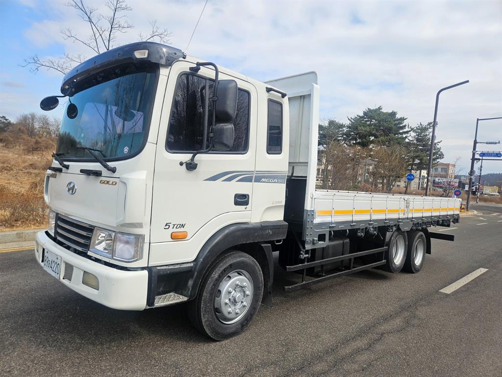 현대 메가트럭 카고 4.5톤 수동 - 중고 트럭 매물 이미지