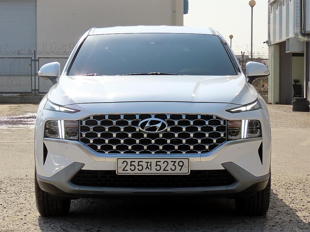 더 뉴 싼타페 디젤 2.2 2WD 프리미엄 초이스 2021년식