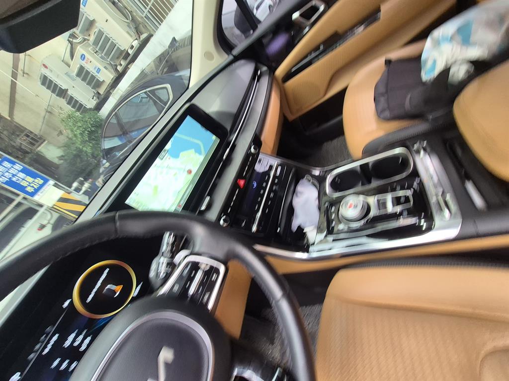 Kia Carnival Gasoline Signature 6