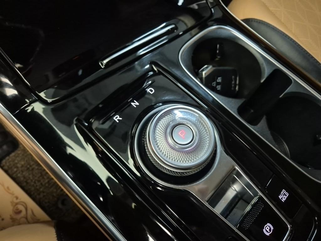 Kia Carnival Diesel Noblesse 9