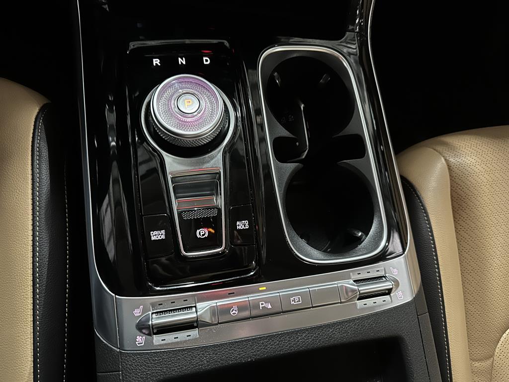 Kia Carnival Gasoline Noblesse 10