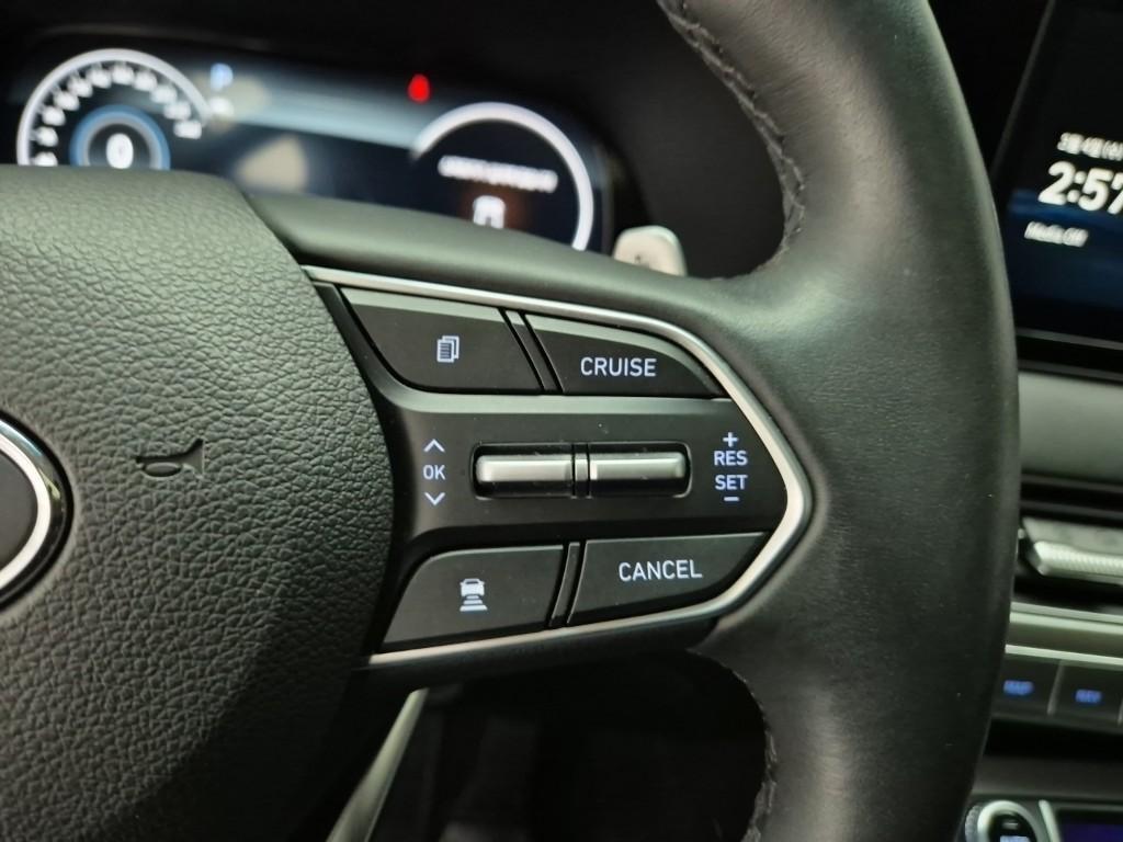 Hyundai Palisade Gasoline 3.8 2WD Prestige 10