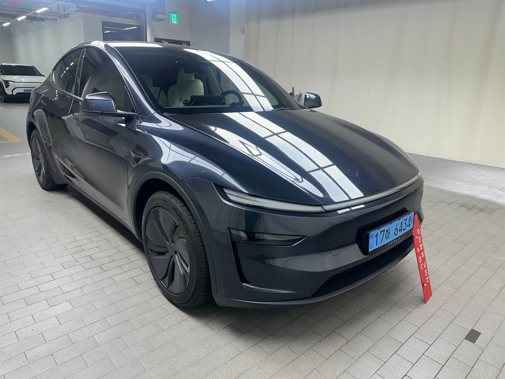 Tesla Model Y Long Range 8
