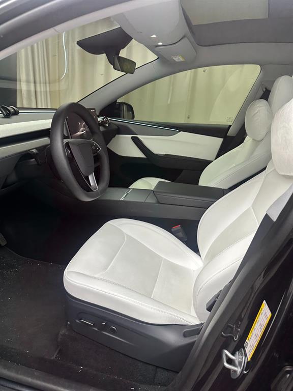 Tesla Model Y Long Range 10