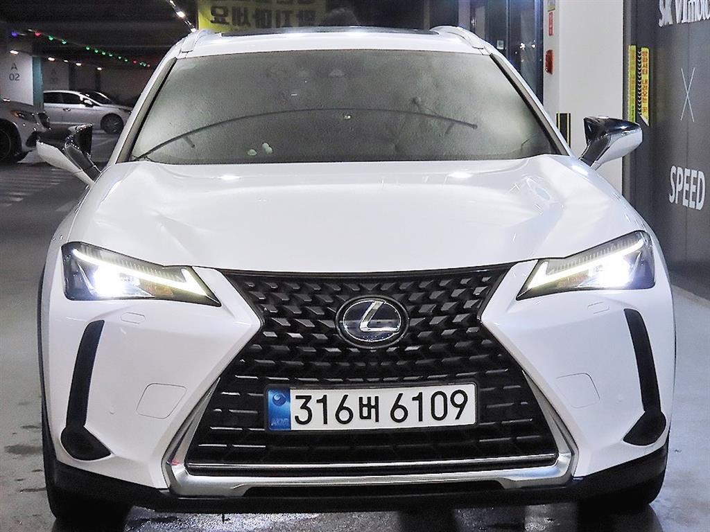 국산차 리스트 차량 이미지