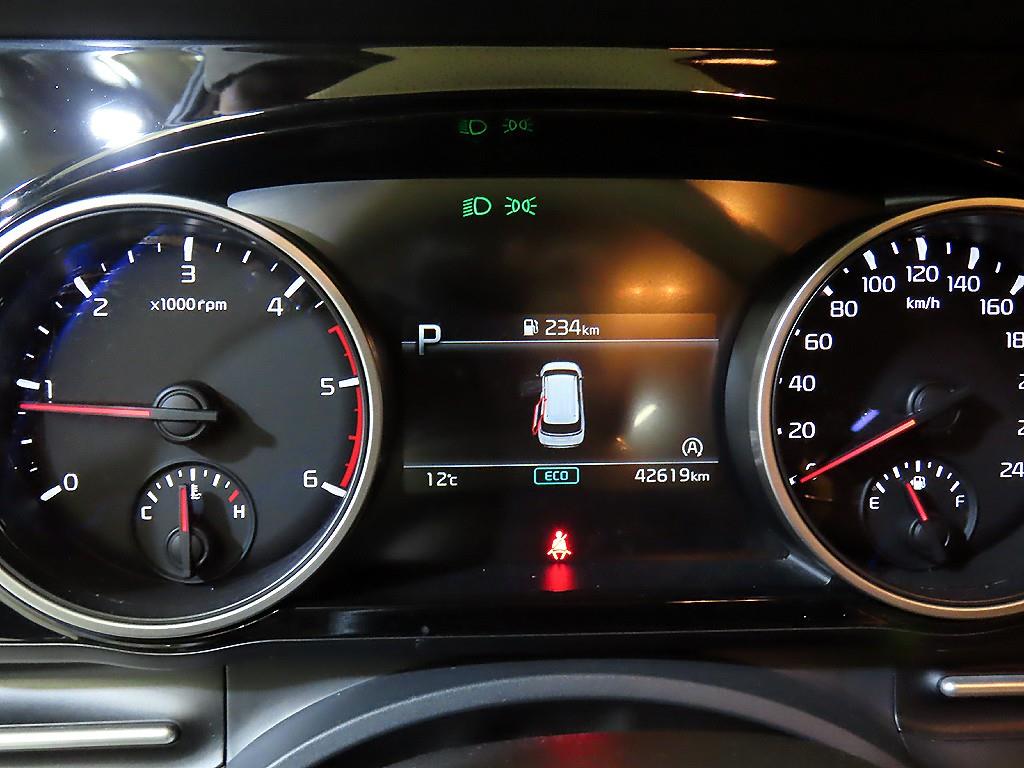 Kia Carnival Diesel Noblesse 10