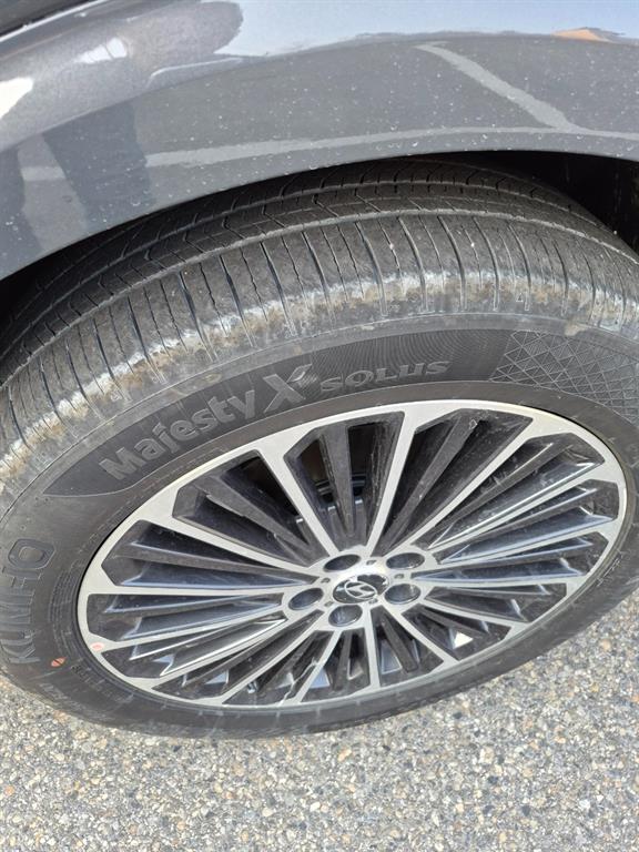 Hyundai Palisade HEV 2.5T 4WD Calligraphy 6