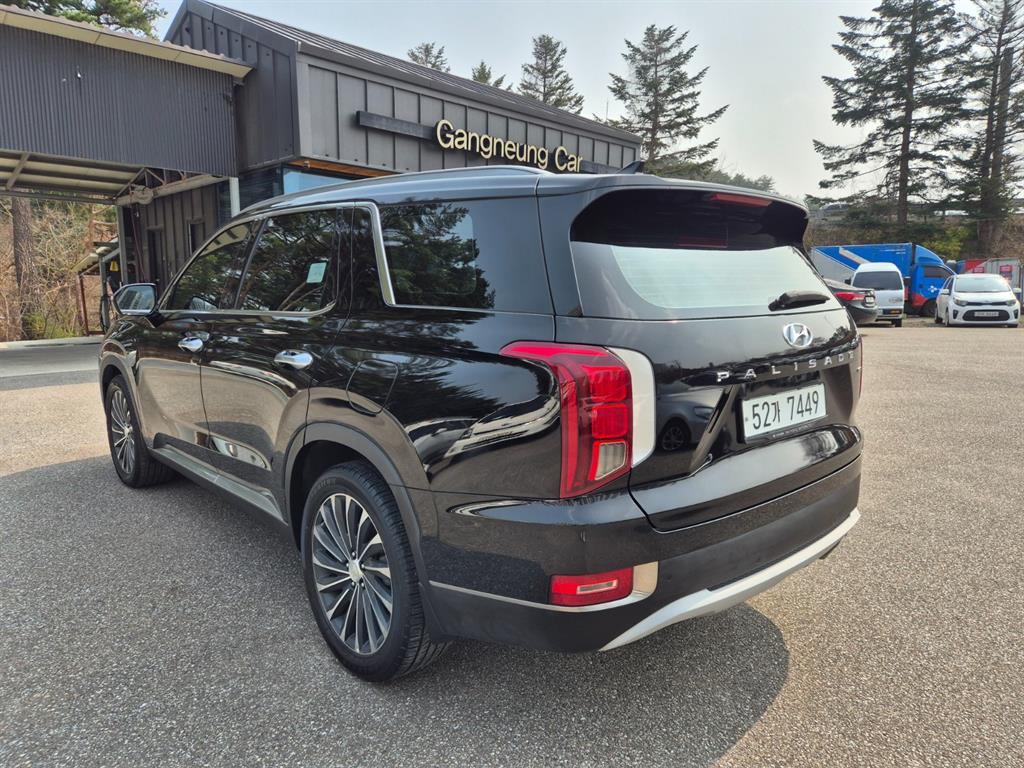 Hyundai Palisade Diesel 2.2 4WD Exclusive 6