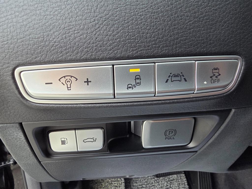 Kia K9 3.8 GDI AWD Platinum Ⅱ 10