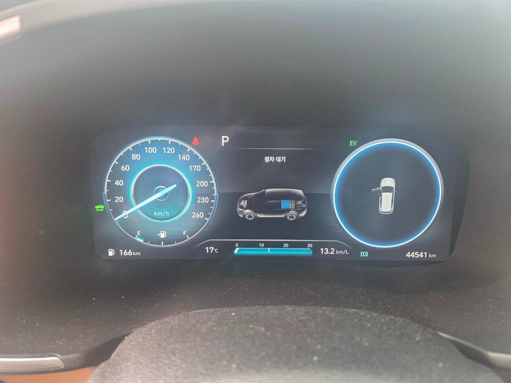 Hyundai Santa Fe 1.6 2WD Calligraphy 10