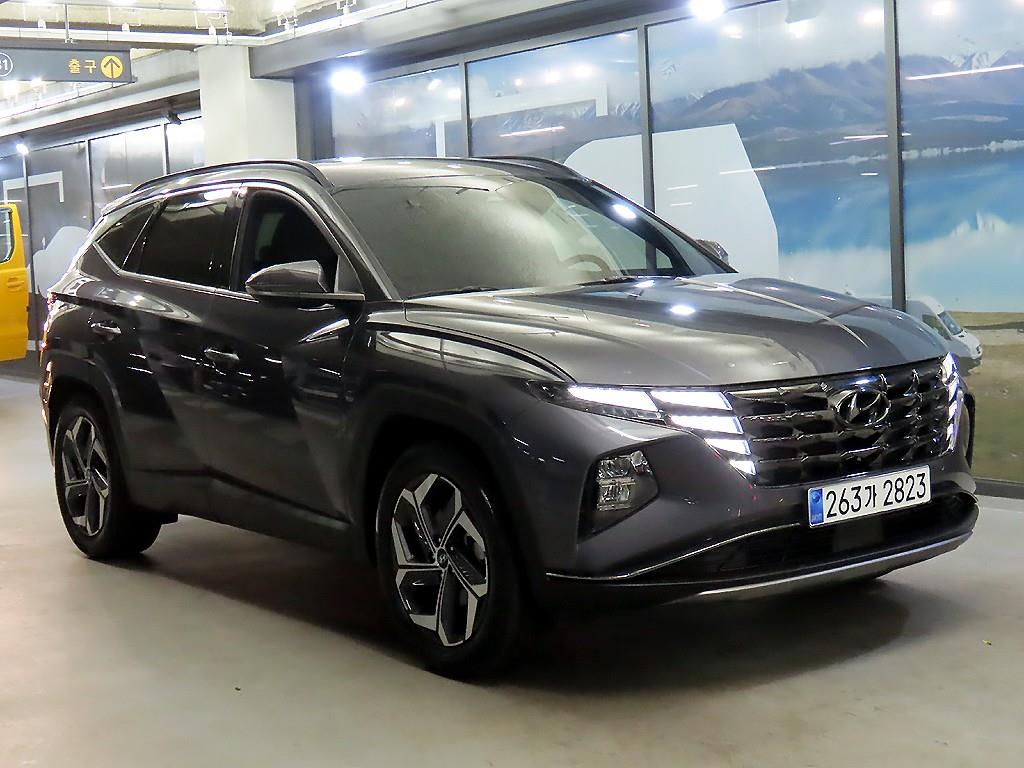 투싼 (NX4) 2021년식
