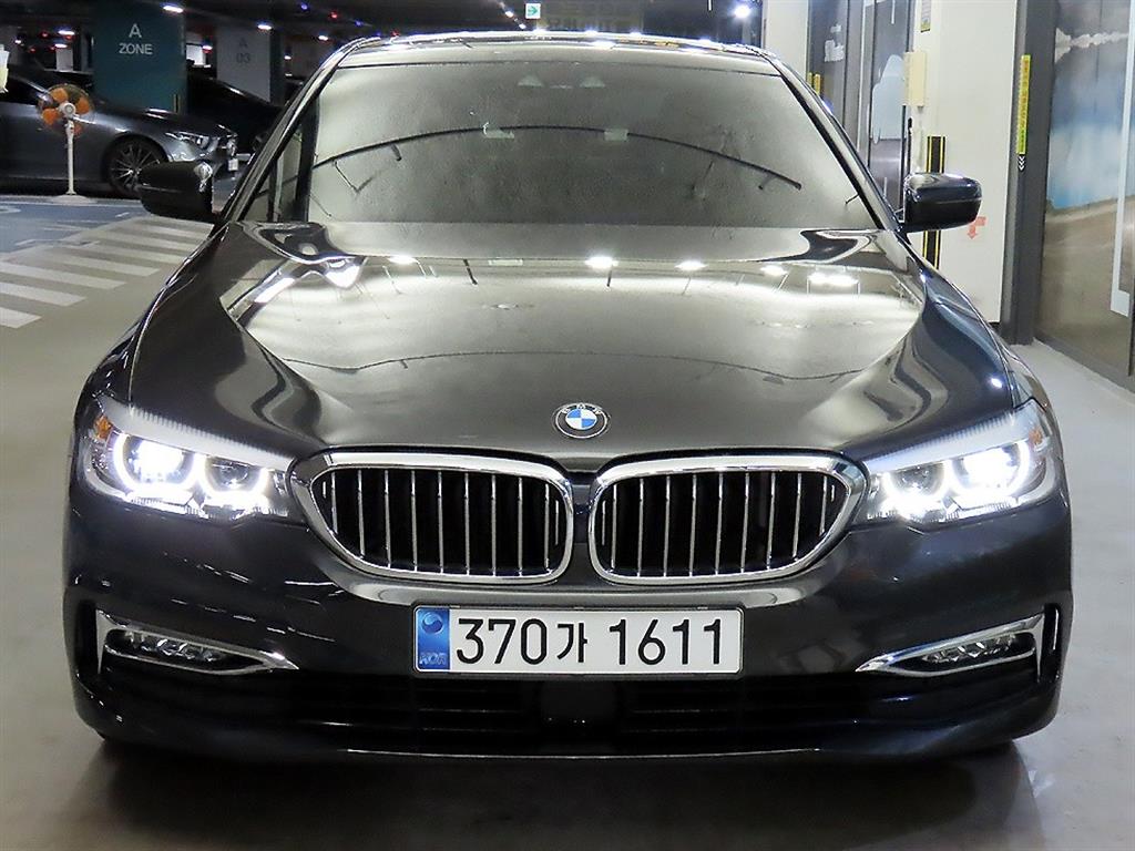 BMW 5 Series 520i Luxury 3