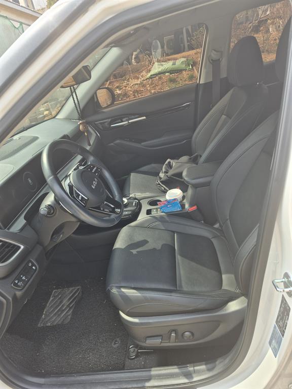 Kia Seltos Gasoline 2.0 2WD Signature 7