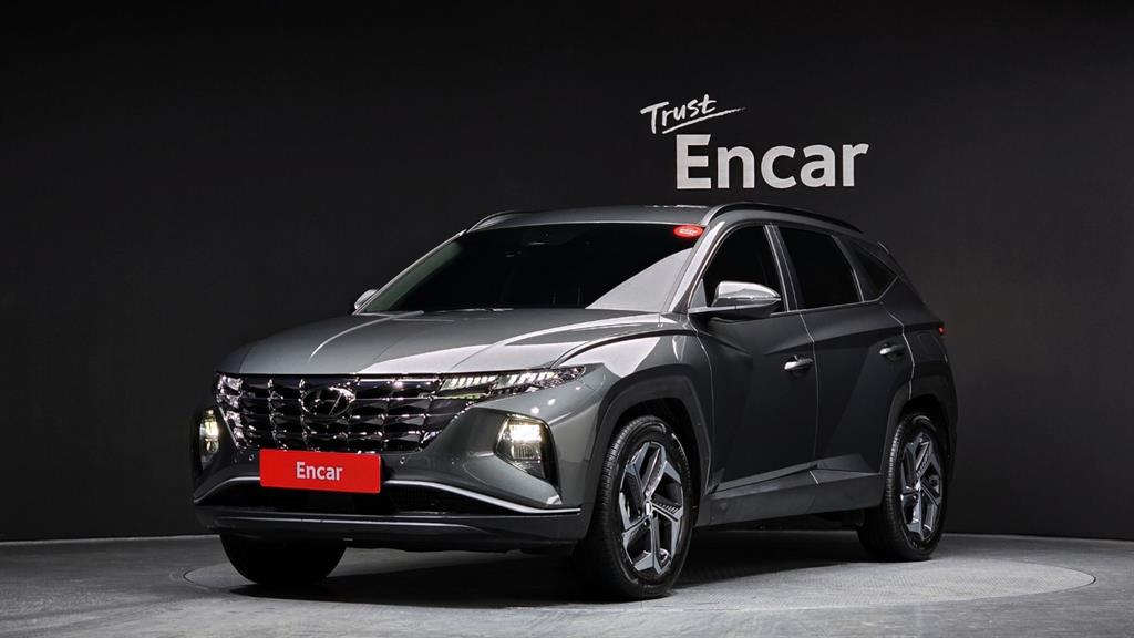 Hyundai Tucson Gasoline 1.6 Turbo 2WD Premium