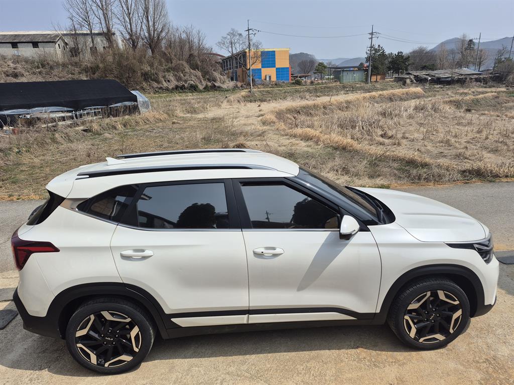 Kia Seltos Gasoline 2.0 2WD Signature 4