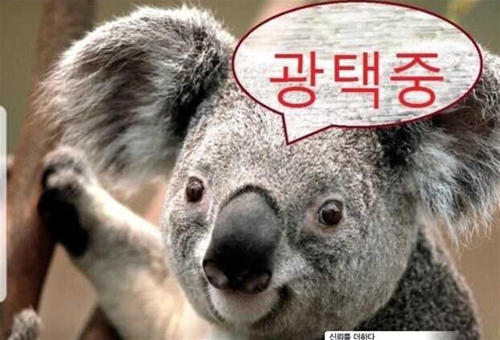 Kia Carnival Diesel Prestige