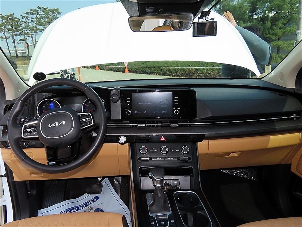 Kia Carnival Gasoline Prestige 9