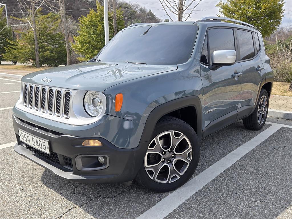 Jeep Renegade 2.0 Diesel Longitude AWD Base Type