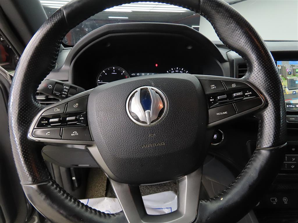 KG Mobility (Ssangyong) Rexton Diesel 2.2 4WD 5 Link Noblesse 9