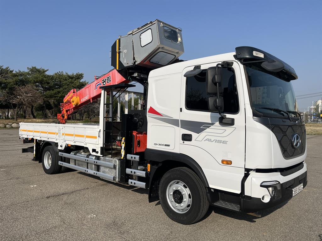 현대 카고크레인 광림 파비스 5.5톤 - 중고 트럭 매물 이미지