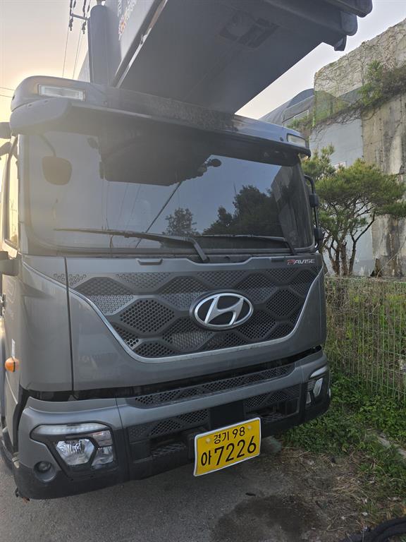현대 사다리차 호룡 파비스 5톤 - 중고 트럭 매물 이미지
