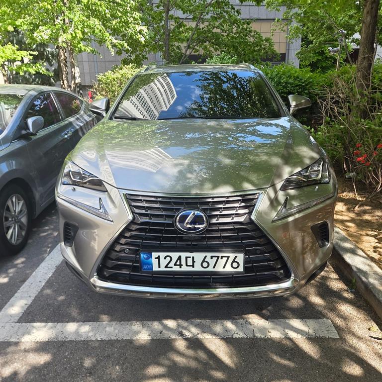 Lexus NX Supreme