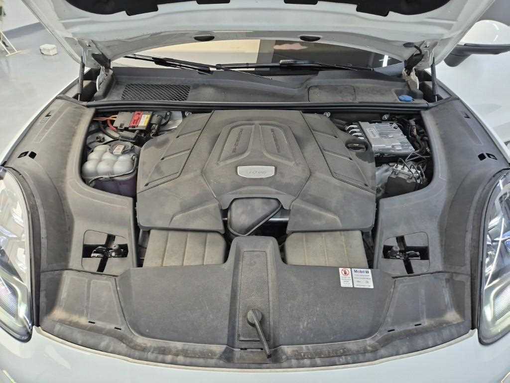 Porsche Cayenne 3.0 Coupe Platinum Edition 6