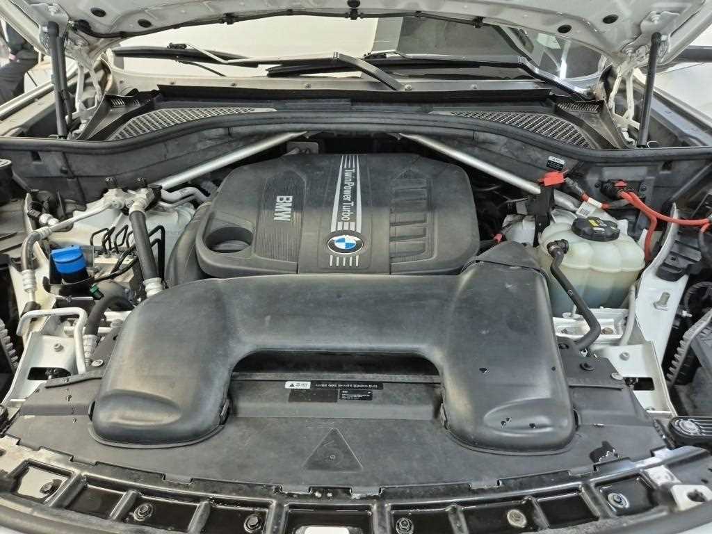 BMW X6 - Vista 5