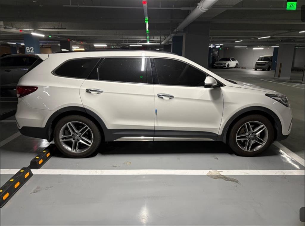 HYUNDAI Maxcruz - Vista 4