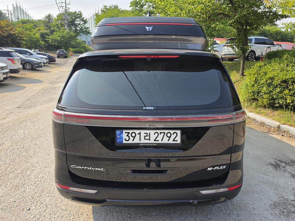 KIA Carnival - Vista 4