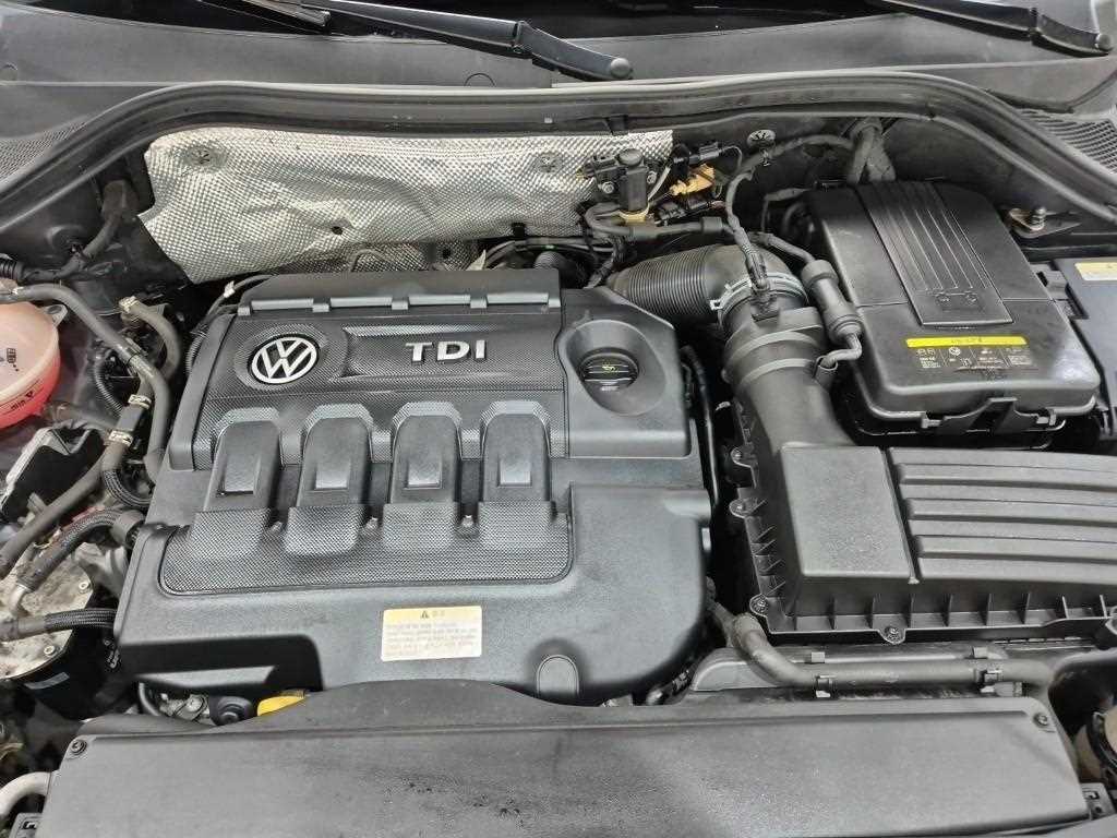 Volkswagen Tiguan - Vista 5