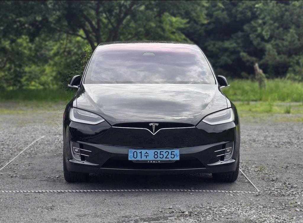 Tesla Model X 100D