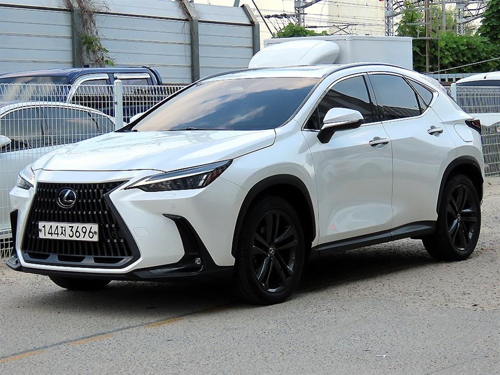 렉서스 NX 프리미엄 사진 2/20