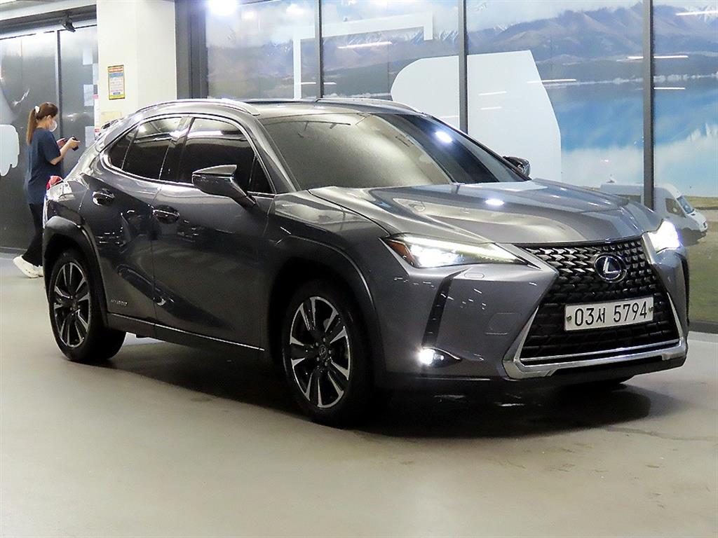 UX 250h 2.0 AWD 2019년식
