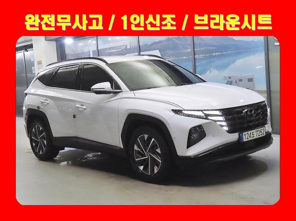 투싼 (NX4) 2021년식